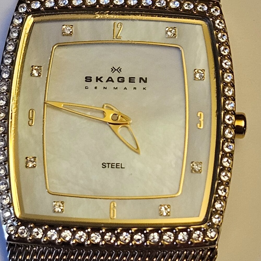 Skagen Denmark Slim Mesh Bracelet Watch – Unique Character & Elegance